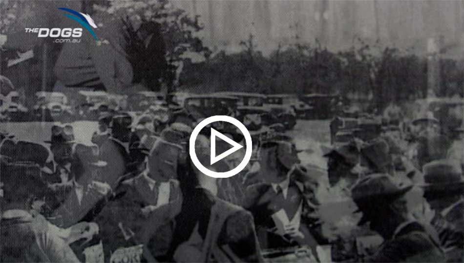 grafton life long dream